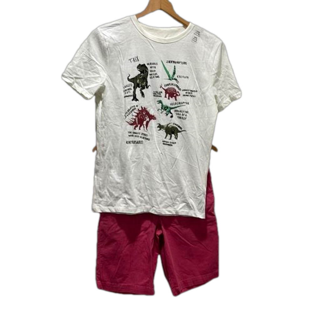 Polo Ralph Lauren & GAP kids set size 16 GUC dinosaurs…